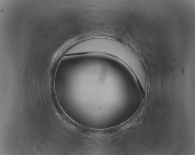 X0000081420197200702092142