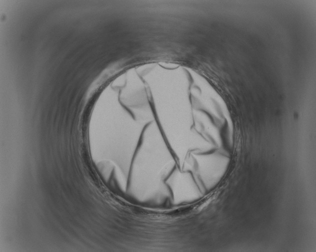 X0000081420198200702092142