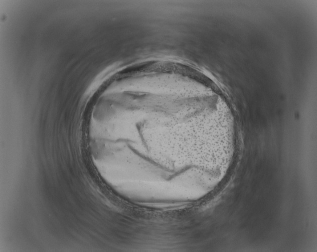 X0000081420199200702092142