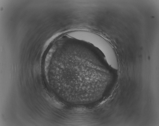 X0000081420200200702092142