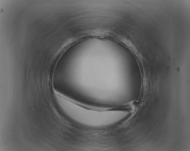 X0000081420201200702092142