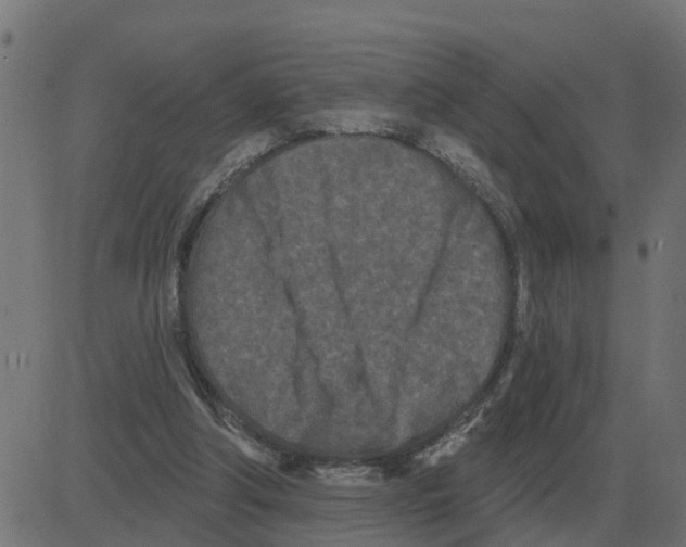 X0000081420202200702092142