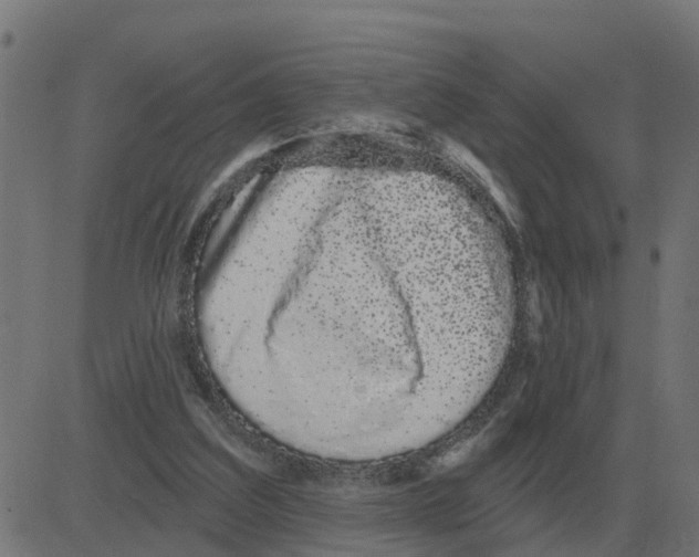 X0000081420203200702092142