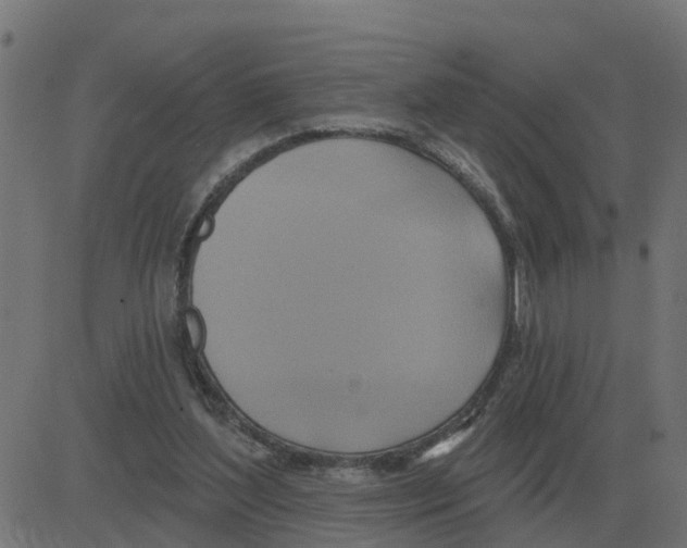 X0000081420204200702092142