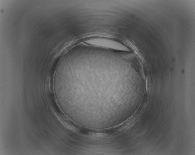 X0000081420205200702092142