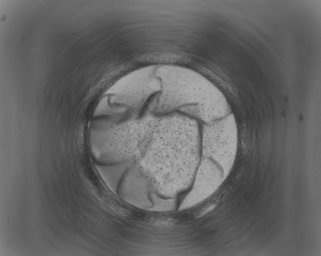 X0000081420206200702092142