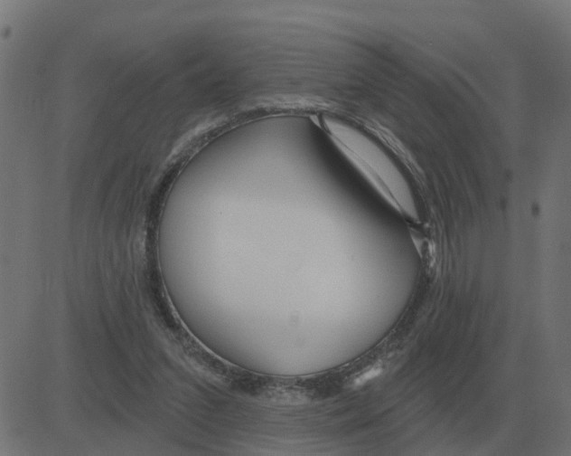 X0000081420207200702092142