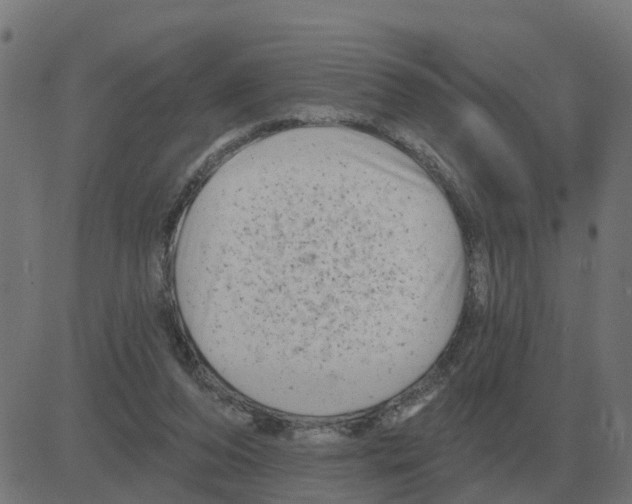 X0000081420208200702092142