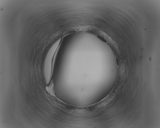 X0000081420209200702092142