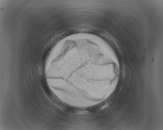 X0000081420210200702092142