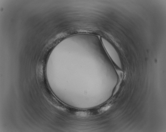 X0000081420211200702092142