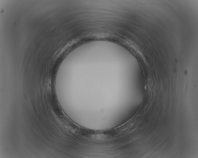 X0000081420212200702092142