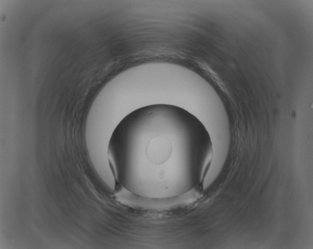 X0000081420213200702092142