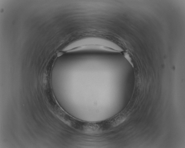 X0000081420215200702092142