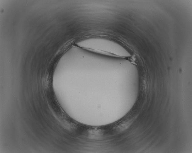 X0000081420216200702092142