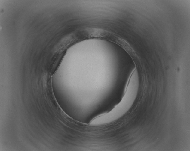 X0000081420217200702092142