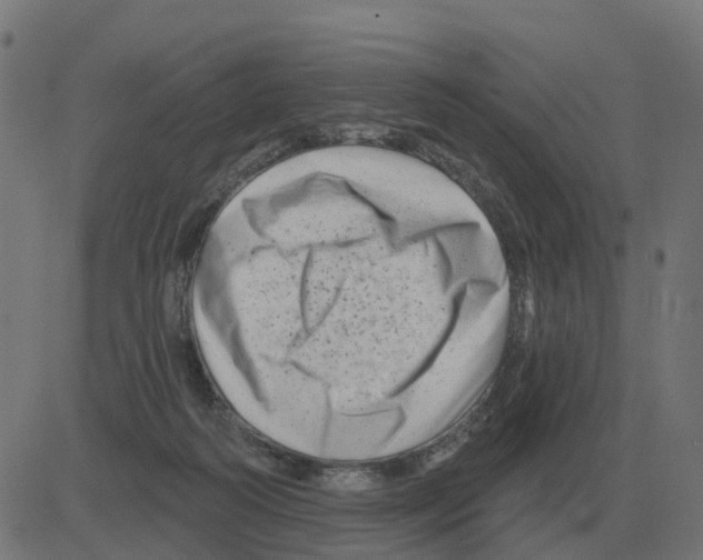 X0000081420218200702092142