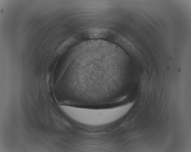 X0000081420219200702092142