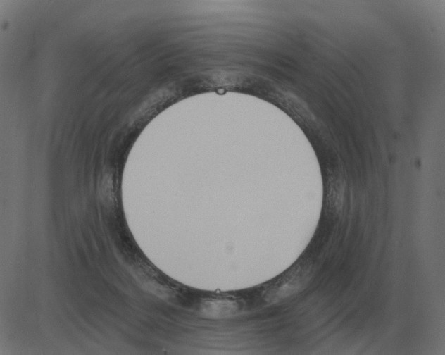 X0000081420220200702092142