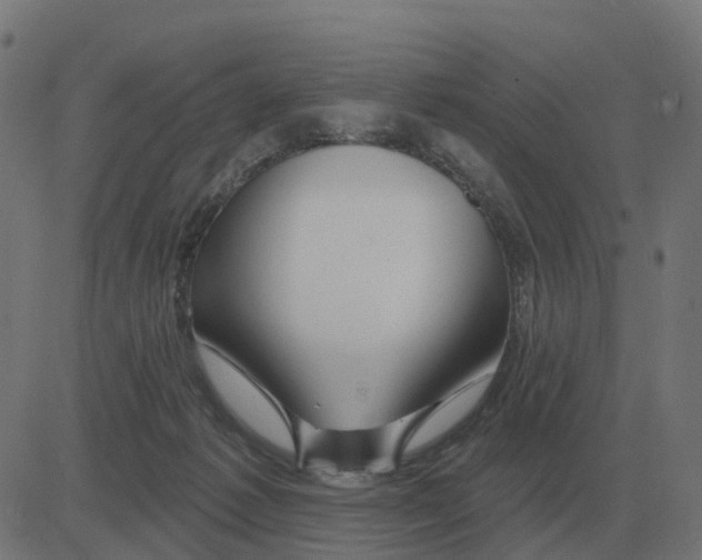 X0000081420221200702092142