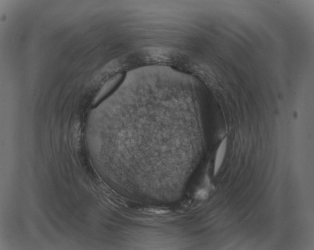 X0000081420223200702092142