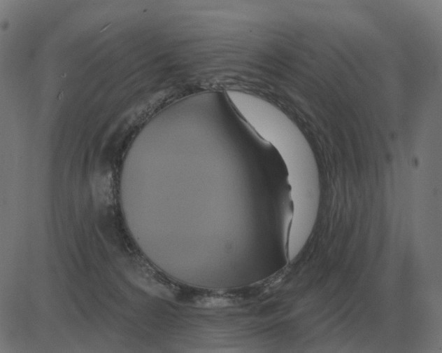 X0000081420224200702092142