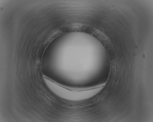 X0000081420225200702092142