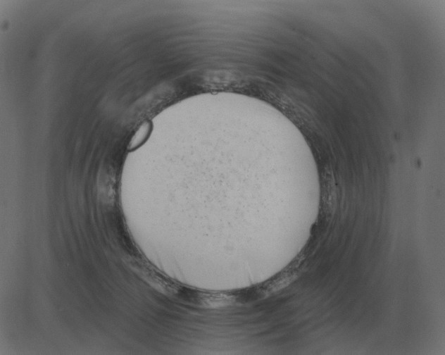 X0000081420226200702092142