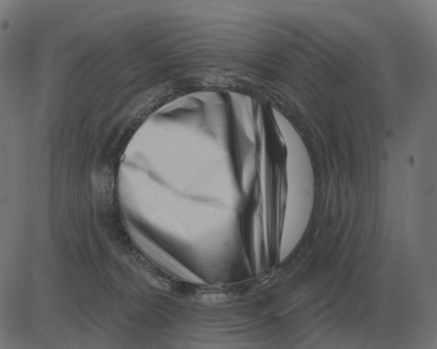 X0000081420228200702092142