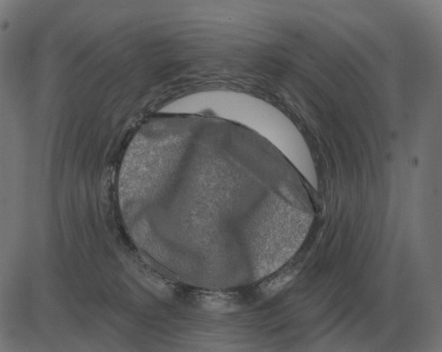 X0000081420229200702092142