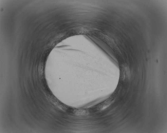 X0000081420230200702092142