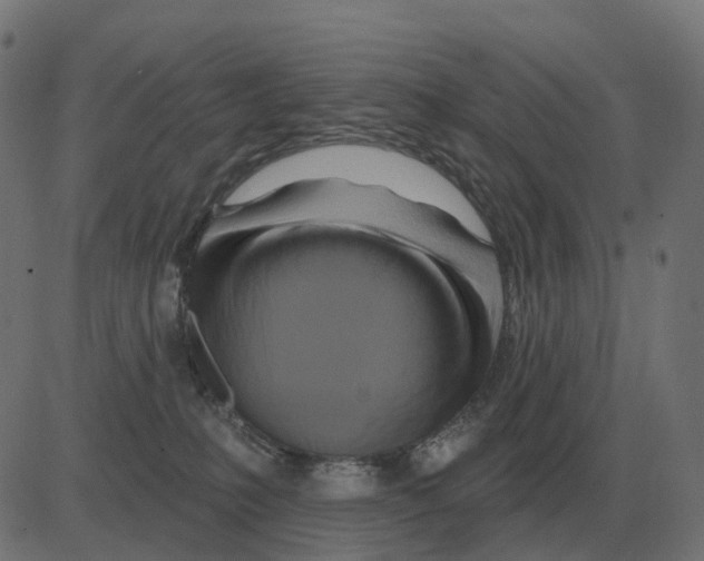 X0000081420231200702092142