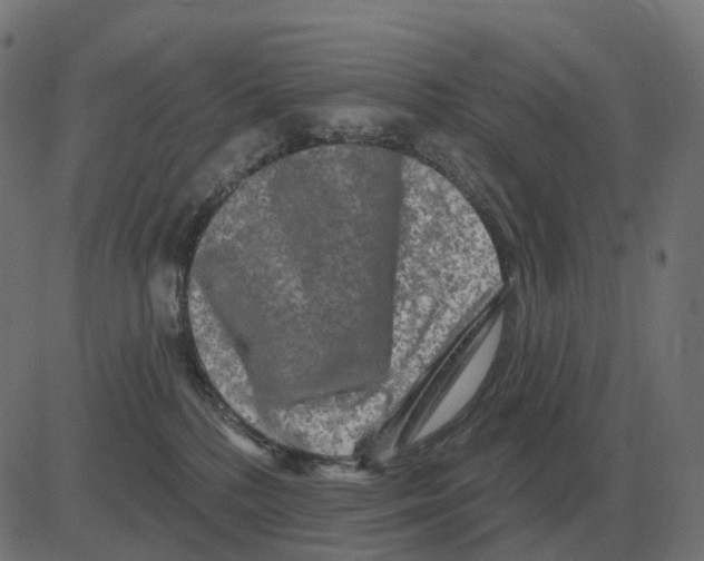 X0000081420232200702092142