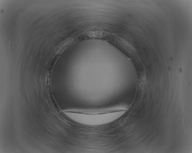 X0000081420233200702092141