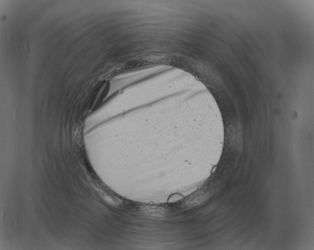 X0000081420234200702092141