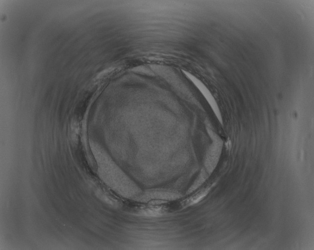 X0000081420235200702092141