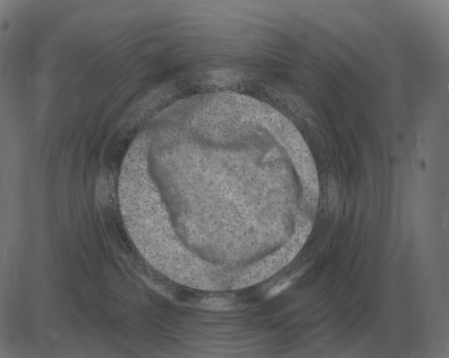 X0000081420236200702092141