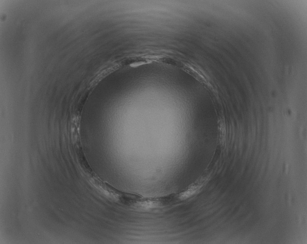 X0000081420237200702092141