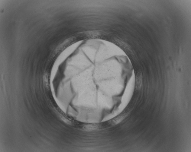 X0000081420238200702092141