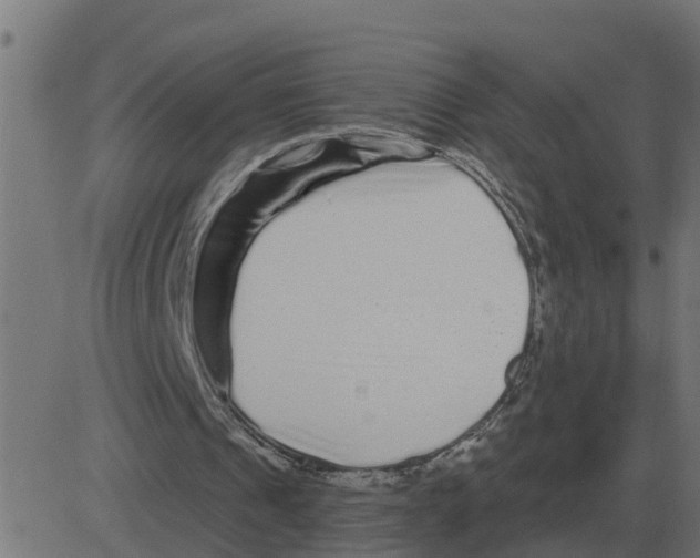 X0000081420241200702092141