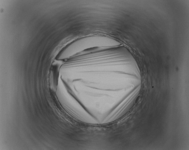 X0000081420242200702092141