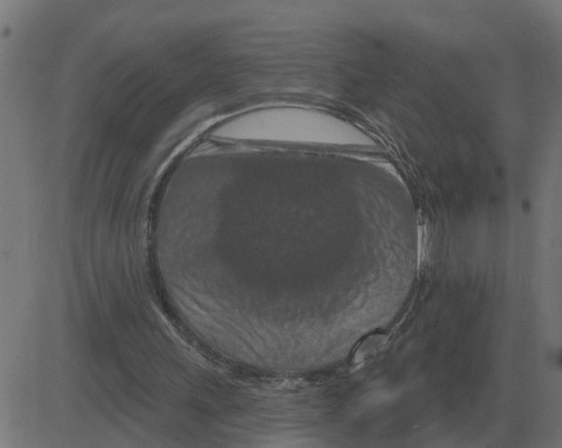 X0000081420243200702092141