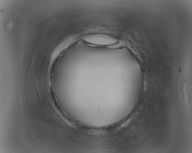 X0000081420245200702092141