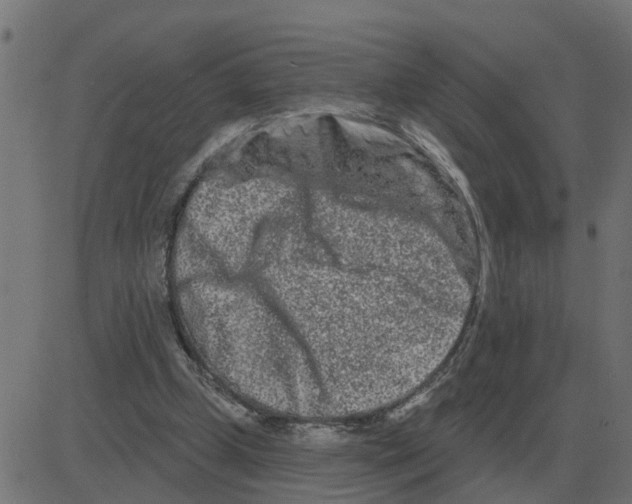 X0000081420249200702092141