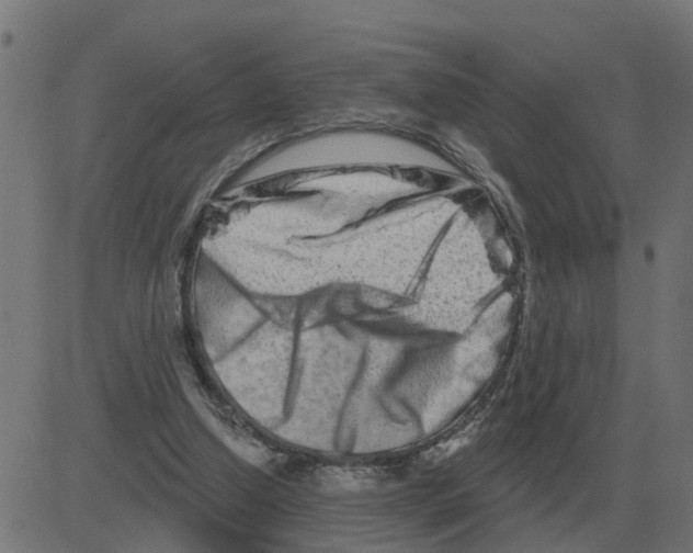 X0000081420250200702092141