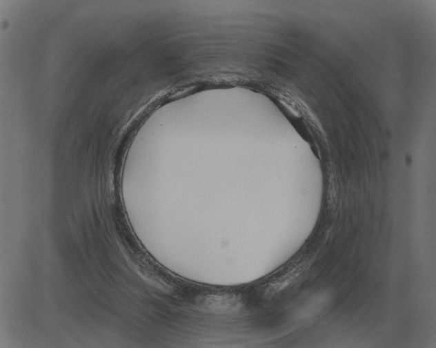 X0000081420251200702092141