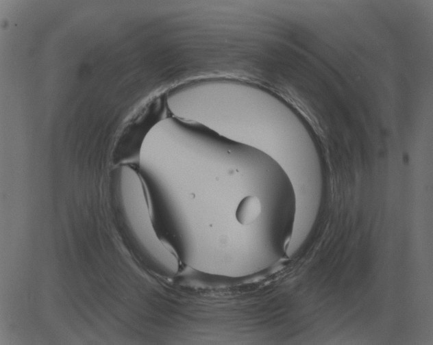 X0000081420252200702092141