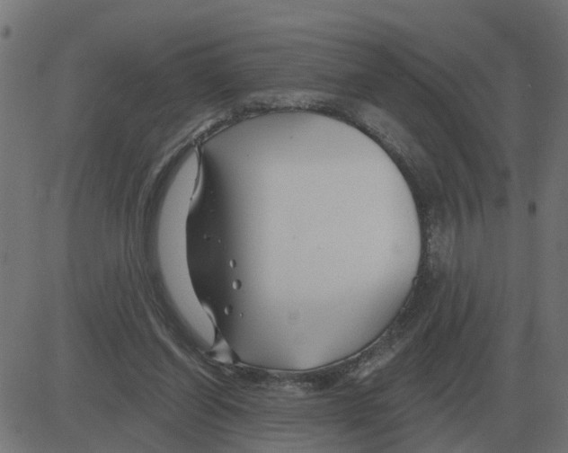 X0000081420254200702092141