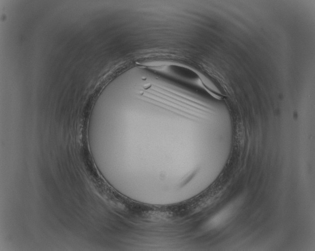 X0000081420255200702092141