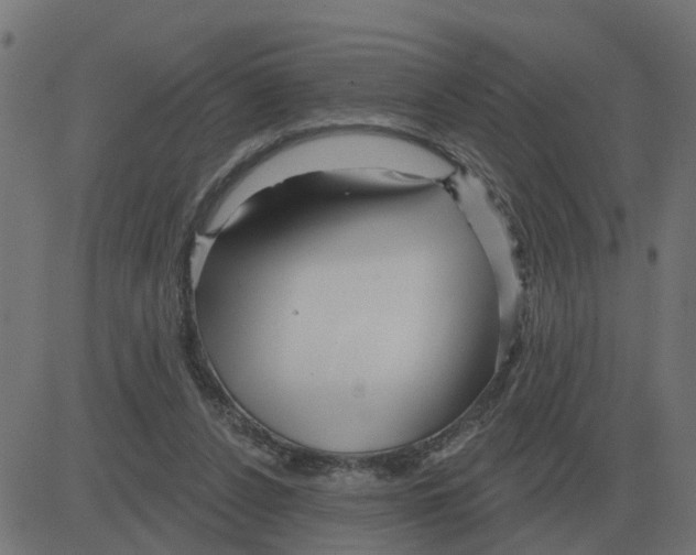 X0000081420256200702092141